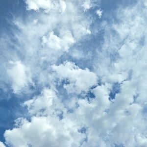 Meet your Posher, Nhan